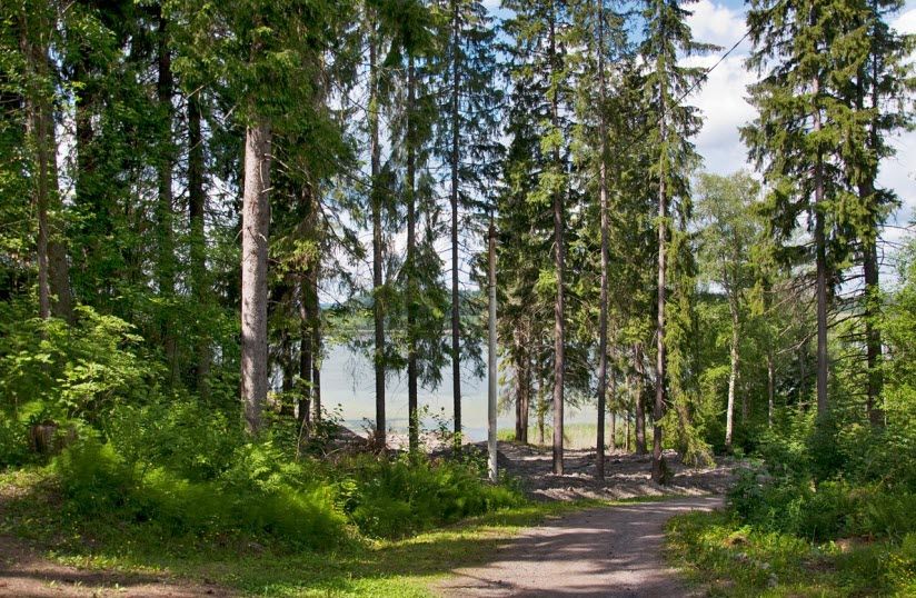 Парк Ваккосалми