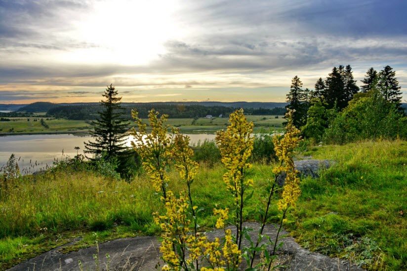 Гора Кухавуори