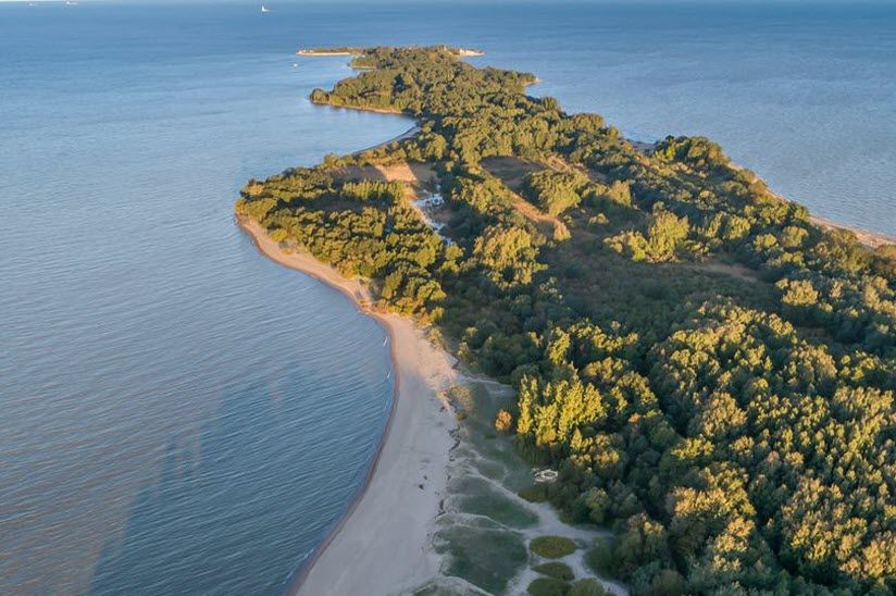 Природный заказник «Западный Котлин»