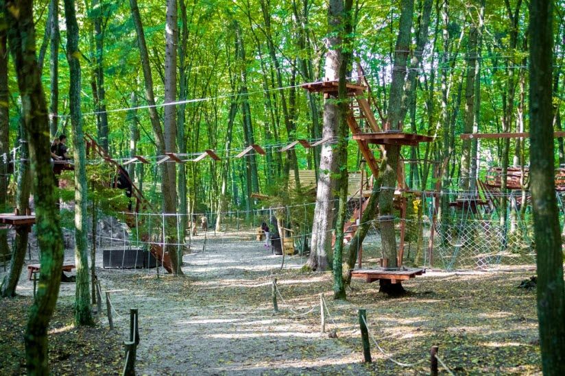 Парк янтарного периода