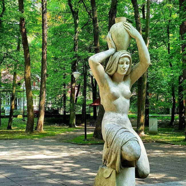 Несущая воду