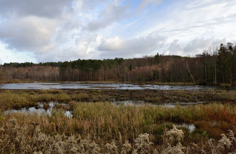 река Светлогорка