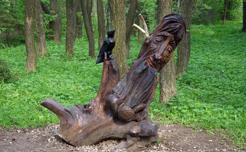 «Тропа сказок» в Дендропарке