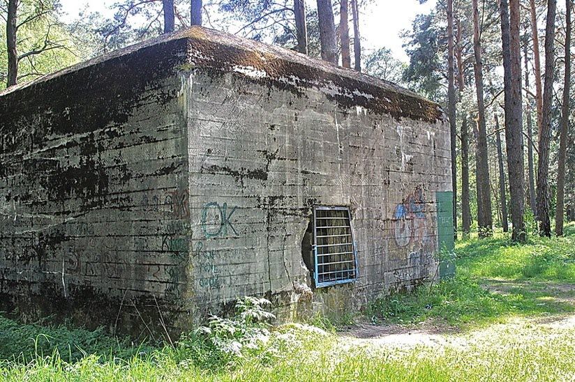 Беренхалле