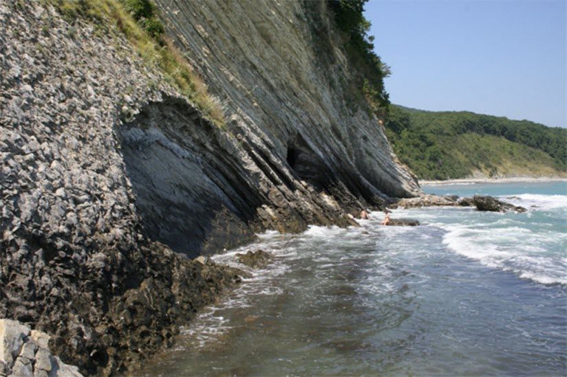 Мышиные норы