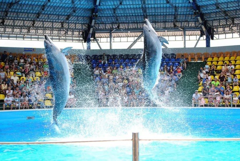 Дельфинарий Аквамир
