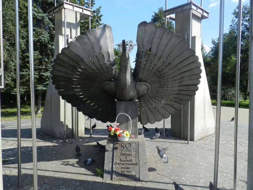 Птица счастья и свободы