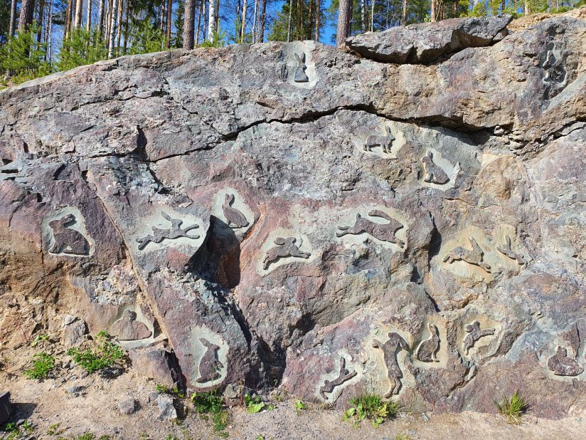 Долина зайцев