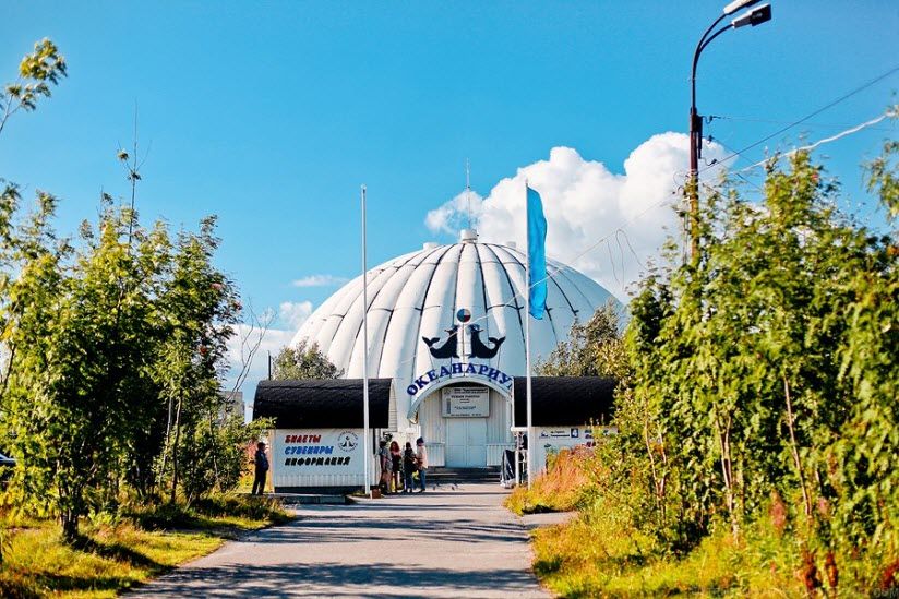 Мурманский океанариум