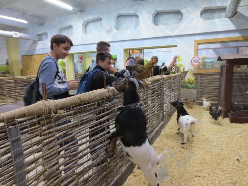 Зоопарк «Зооландия»