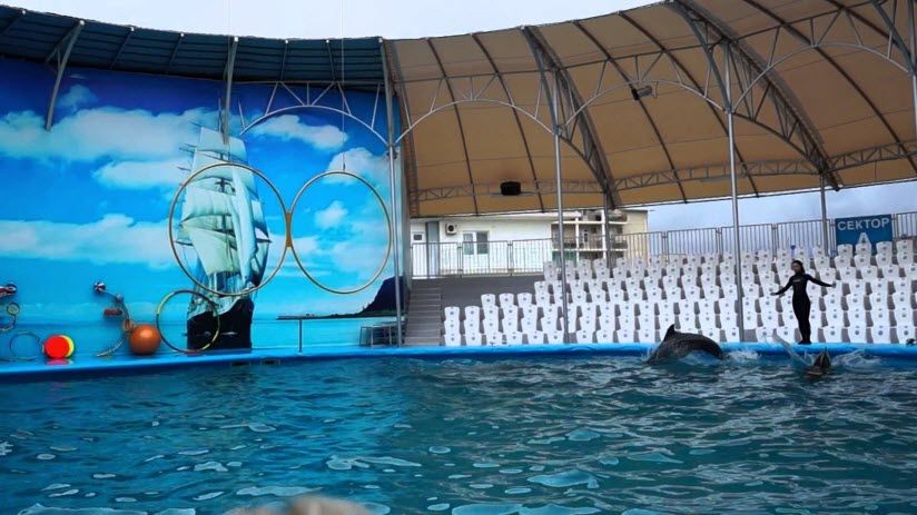 Дельфинарий «Немо»