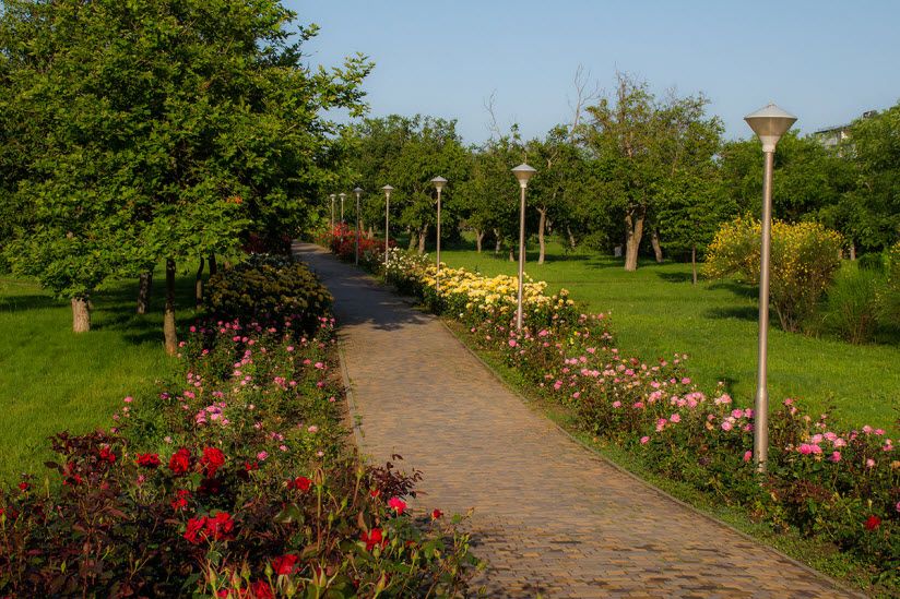 Парк Ореховая роща