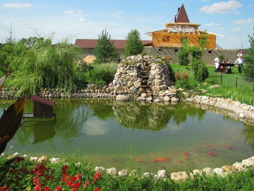 Парк птиц «Воробьи»