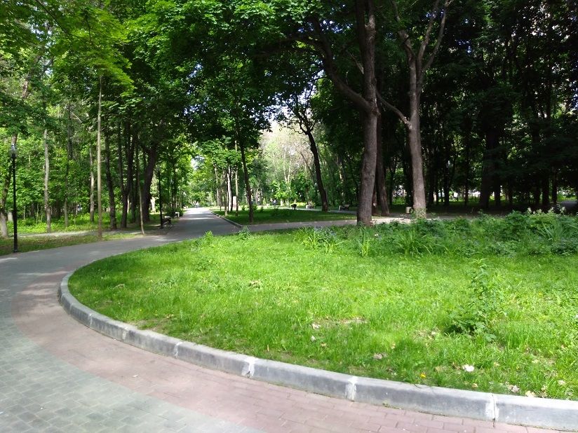 Рогожинский парк