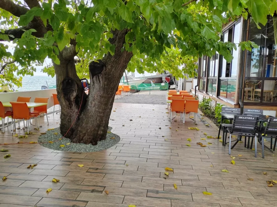 Кафе «Посейдон»