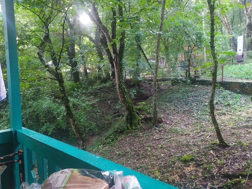 Черномор и К