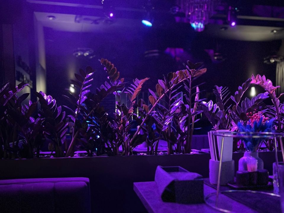 Клуб-ресторан «От заката до рассвета»