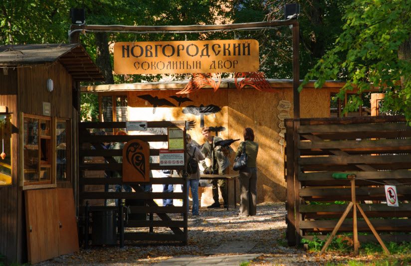 Новгородский соколиный двор