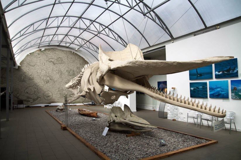 Музей мирового океана