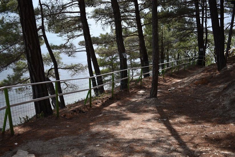 Сосновый берег