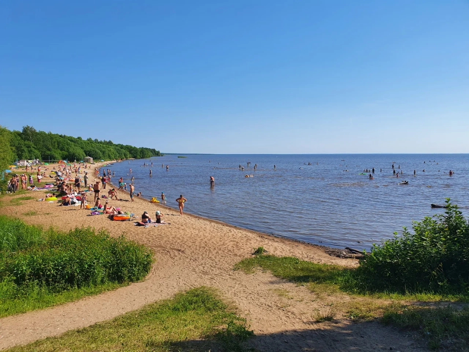 Пляж на Белом озере