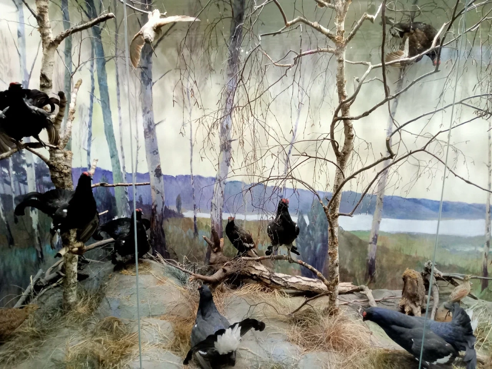 Музей природы (Данки)