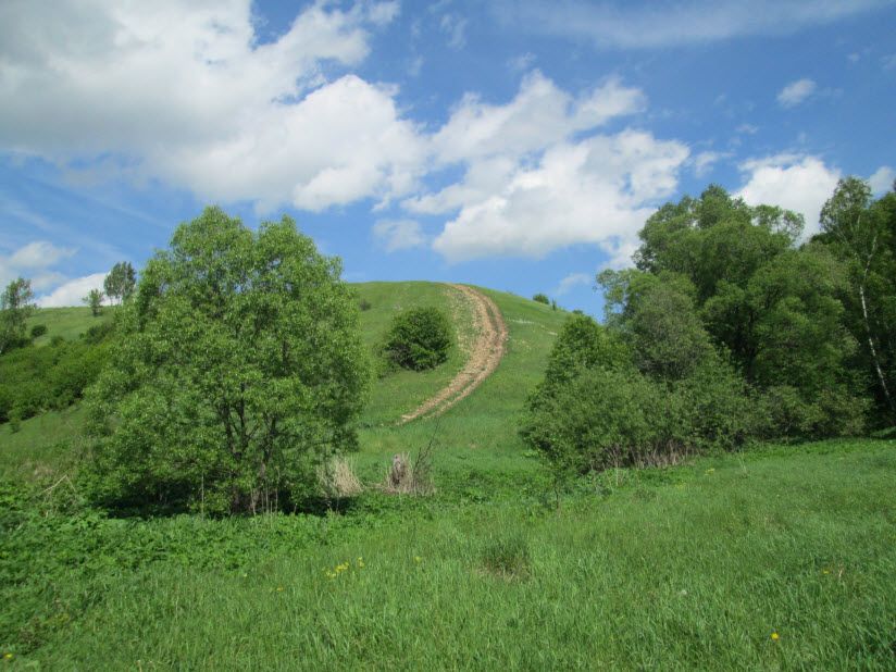 Лысая гора