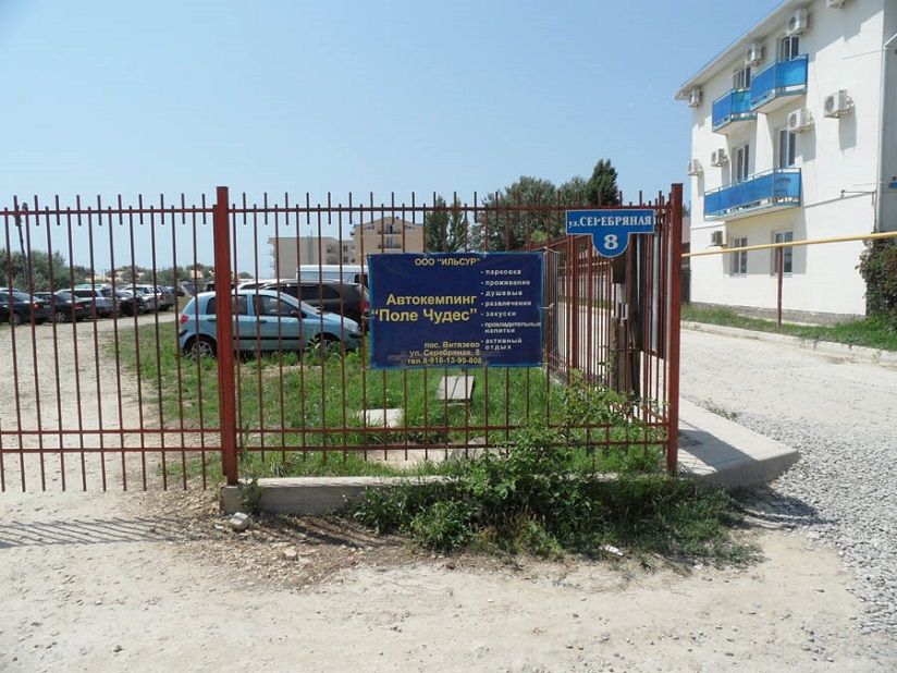 Поле чудес