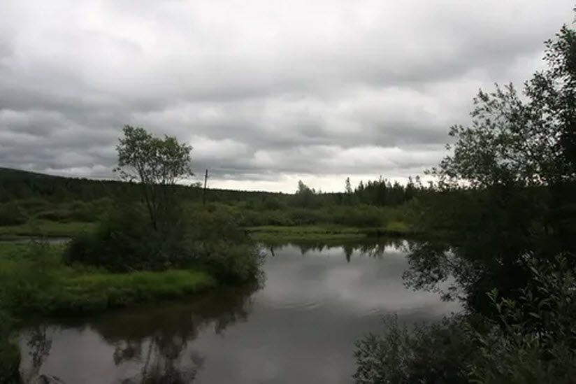 Река Жемчужная