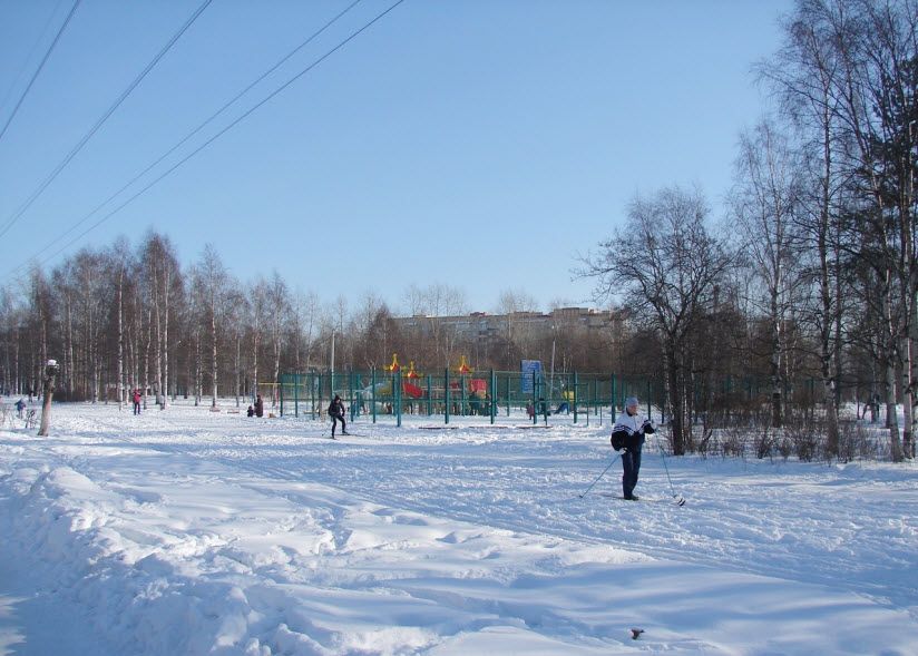 Парк им. М.В. Ломоносова