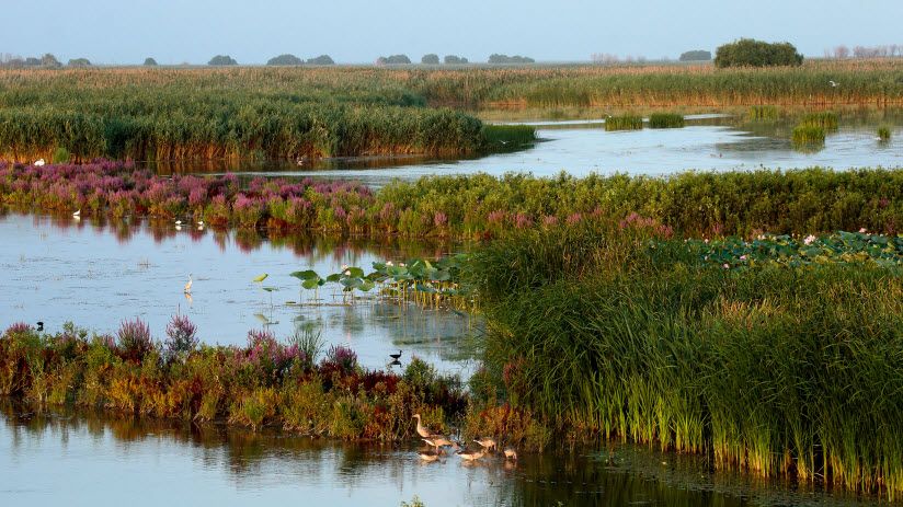 Астраханский биосферный заповедник