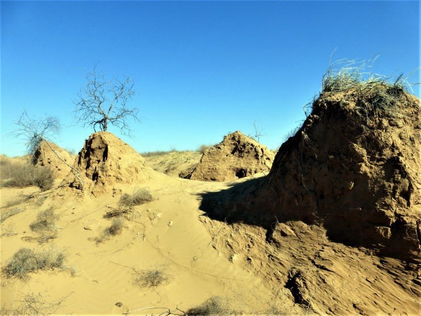 Заказник «Пески Берли»