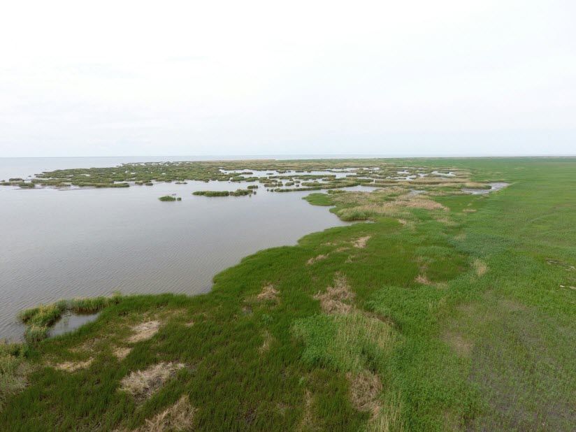 Остров Чистой Банки