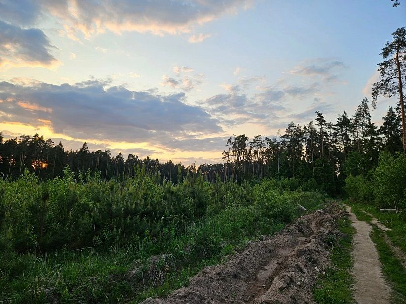 Озерный лесопарк