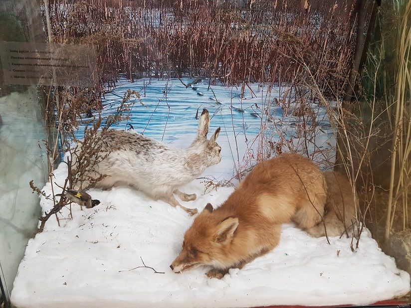 Историко-краеведческий музей