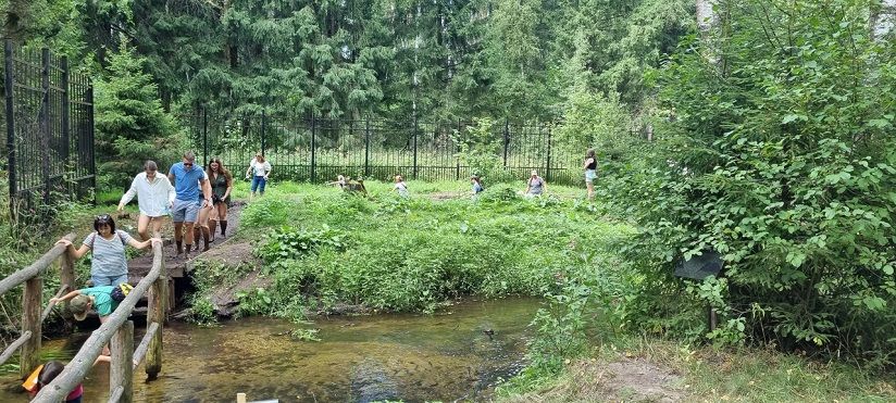 Босоногая тропа