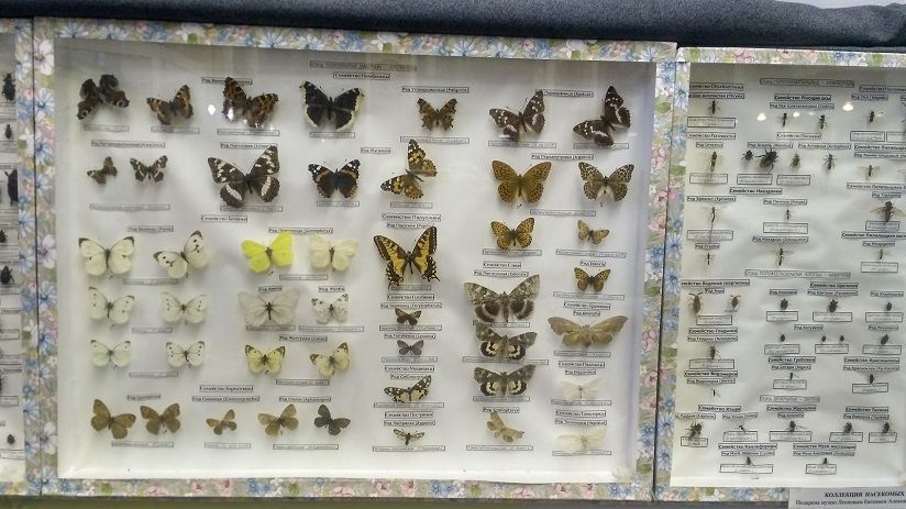 Музей истории бывшего города Железнодорожный