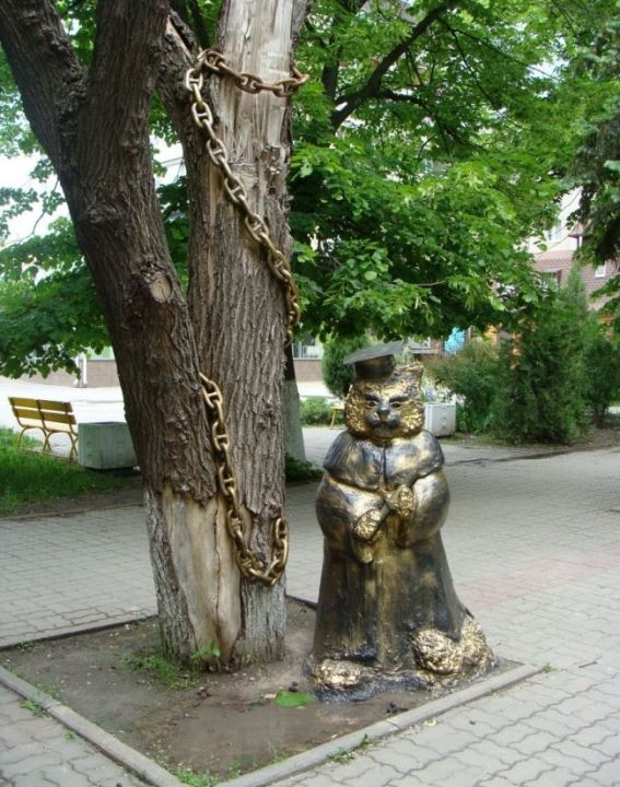 Кот учёный