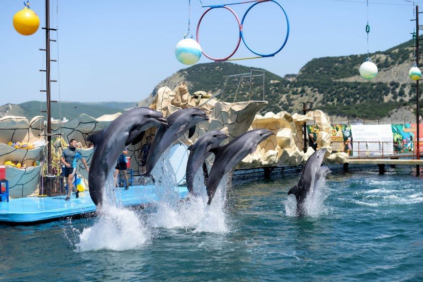 Анапский дельфинарий