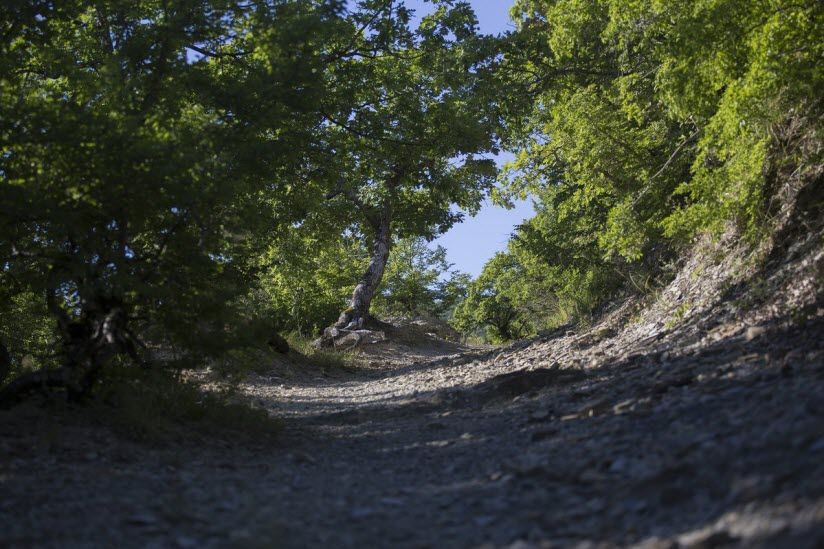 Утришская тропа