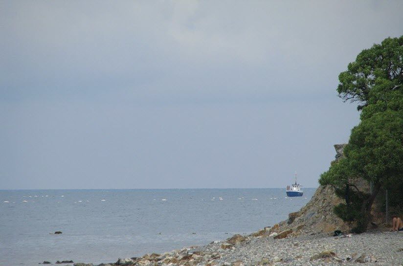 Пляж «Змеинка»