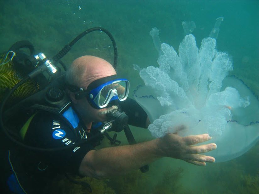 Дайвинг-центр «Утриш»