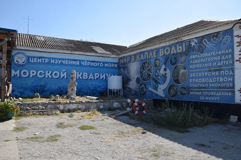 Центр изучения Чёрного моря