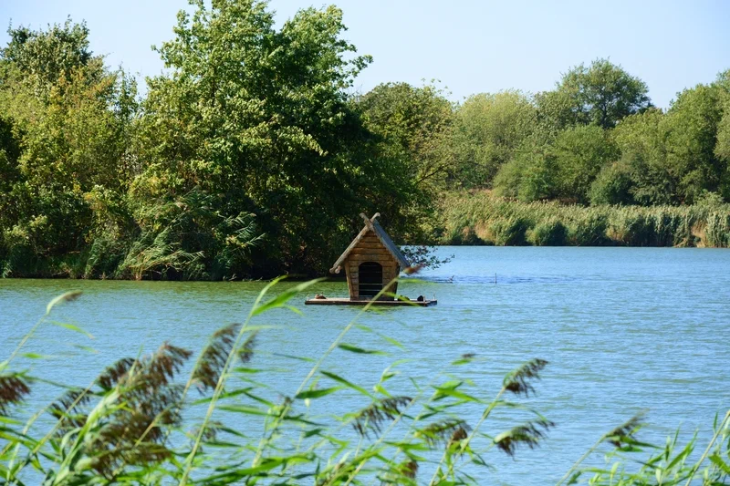 Домик для лебедей