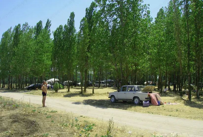 Пляж лесопарка «Ейский»