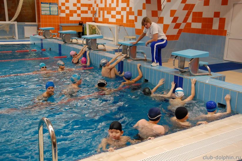 Клуб Дельфин