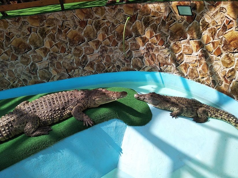 Крокодиловый каньон