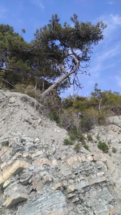 Корабль «Рио» — севший на мель у Кабардинки сухогруз