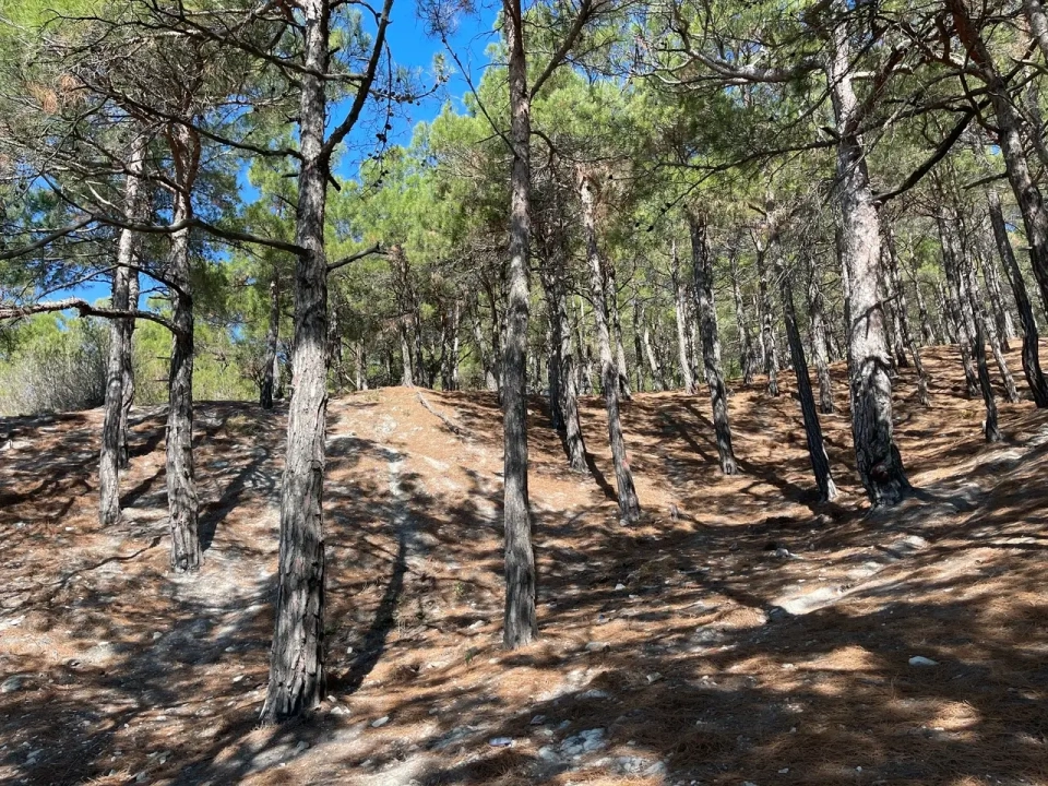 Корабль «Рио» — севший на мель у Кабардинки сухогруз