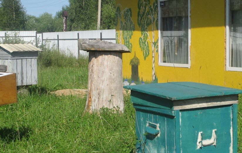 Музей пчеловодства